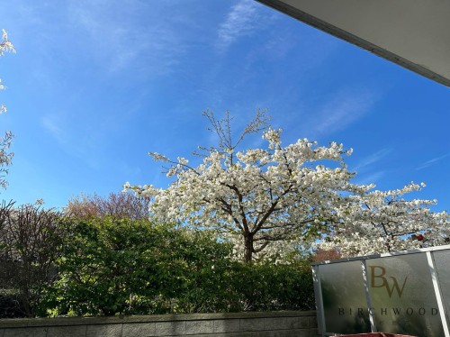 8288 Granville Avenue, Richmond, BC 