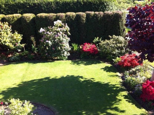 5104 Mckee Street, Burnaby, BC 