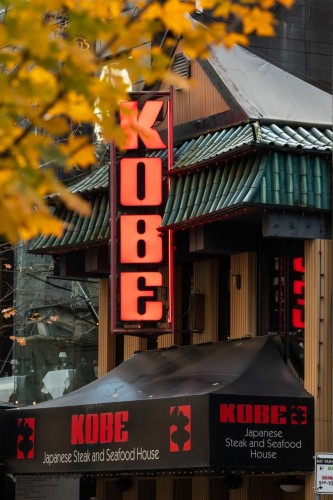 910-1060 Alberni Street, Vancouver, BC 