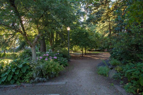 201-1535 Nelson Street, Vancouver, BC 