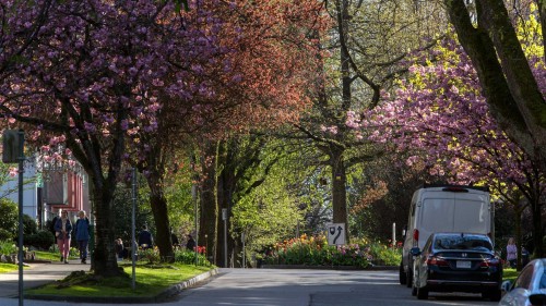 201-1535 Nelson Street, Vancouver, BC 