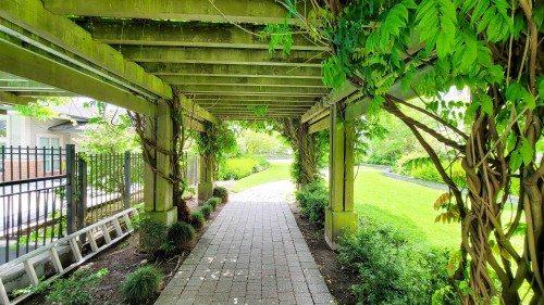 217-9299 Tomicki Avenue, Richmond, BC 