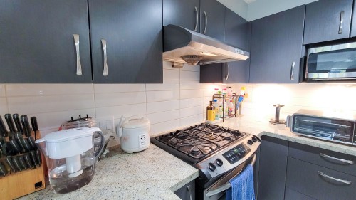 217-9299 Tomicki Avenue, Richmond, BC 