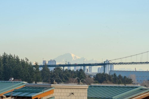 203-1730 Duchess Avenue, West Vancouver, BC 