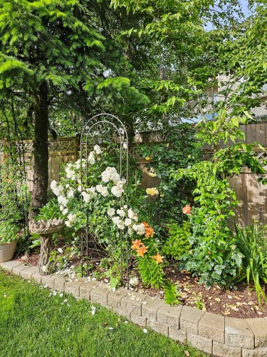 18-22740 116 Avenue, Maple Ridge, BC 