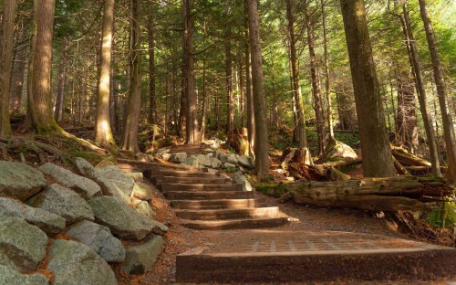 405-1365 Victoria Street, Squamish, BC 