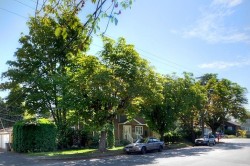 5688 Trafalger Street  Vancouver, BC V6N 1C3