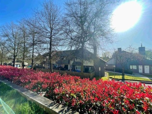 117-1202 London Street, New Westminster, BC 