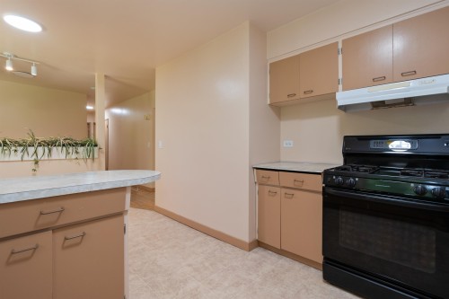 3687 Coast Meridian Road, Port Coquitlam, BC 