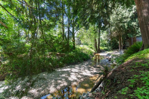 3687 Coast Meridian Road, Port Coquitlam, BC 