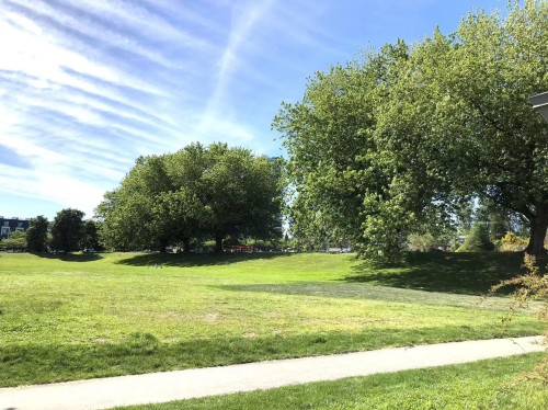 233 Waterleigh Drive, Vancouver, BC 