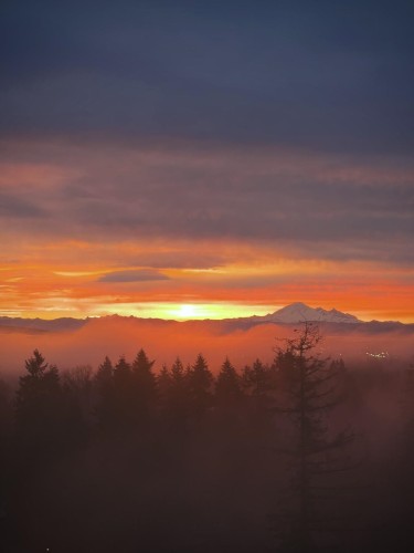 1905-3080 Lincoln Avenue, Coquitlam, BC 