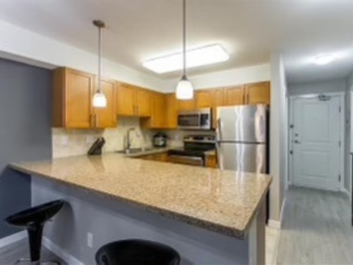 104-2373 Atkins Avenue, Port Coquitlam, BC 