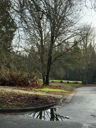 7790 Elliott Street, Vancouver, BC 