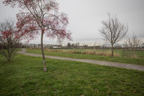 6-13160 Princess Street, Richmond, BC 