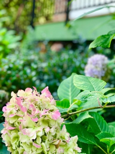 6486 Bruce Street, West Vancouver, BC 