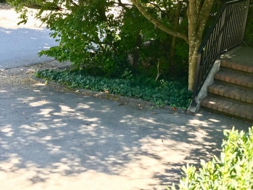 6486 Bruce Street, West Vancouver, BC 