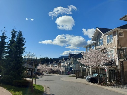 62-3400 Devonshire Avenue, Coquitlam, BC 