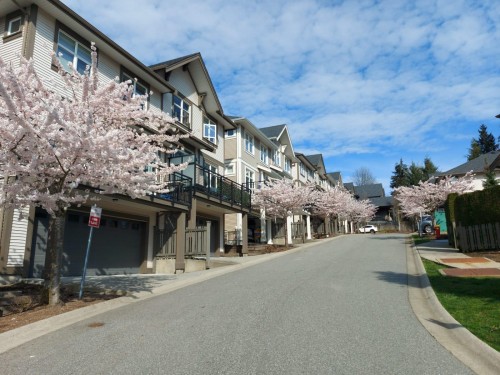 62-3400 Devonshire Avenue, Coquitlam, BC 