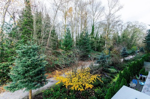 7428 Alberta Street, Vancouver, BC 