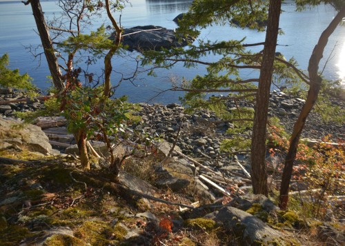 7643 Cove Beach Road, Halfmoon Bay, BC 