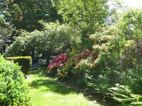 4825 Connaught Drive, Vancouver, BC 