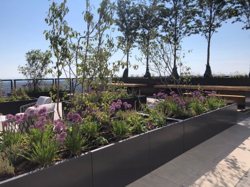 2602-5058 Joyce Street, Vancouver, BC 