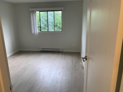 2XX-8700 Ackroyd Rd  Richmond, BC V6X 3G2