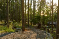 786 Hayes Road  Bowen Island, BC V0N 1G2
