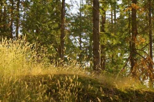 786 Hayes Road, Bowen Island, BC 