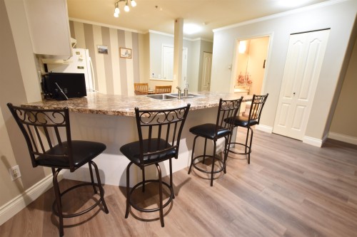 206-22230 North Avenue, Maple Ridge, BC 