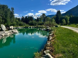 945 Erickson Road  Pemberton, BC V0N 2L2