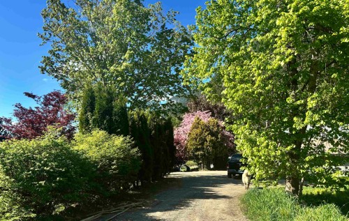 945 Erickson Road, Pemberton, BC 