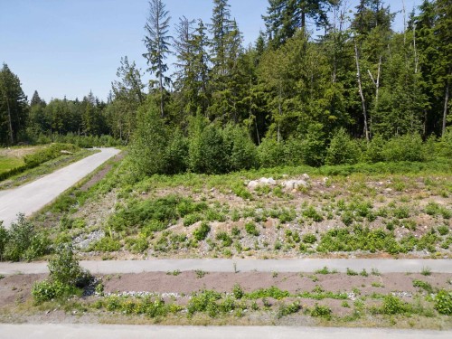 12475 271 Street, Maple Ridge, BC 