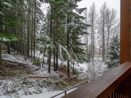 221-2202 Gondola Way, Whistler, BC 