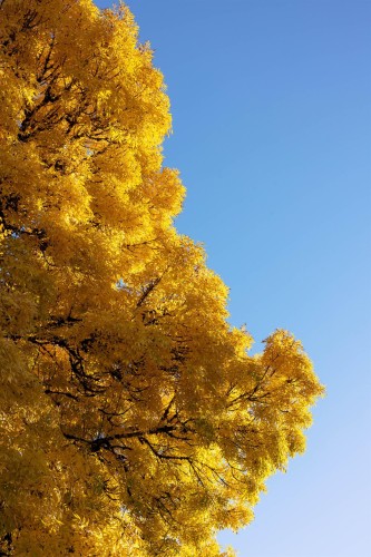 2719 46Th Avenue E, Vancouver, BC 