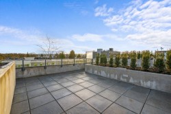 40X-1981 Macdonald Street  Vancouver, BC V6K 1M7