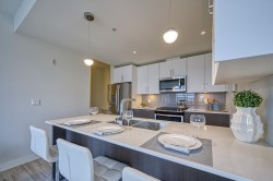 302-13040 No 2 Road  Richmond, BC V7E 0C4