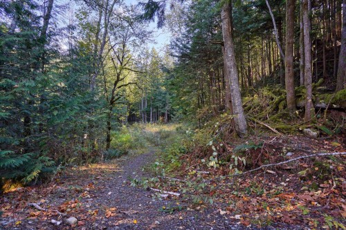 1017 Copper Drive, Britannia Beach, BC 