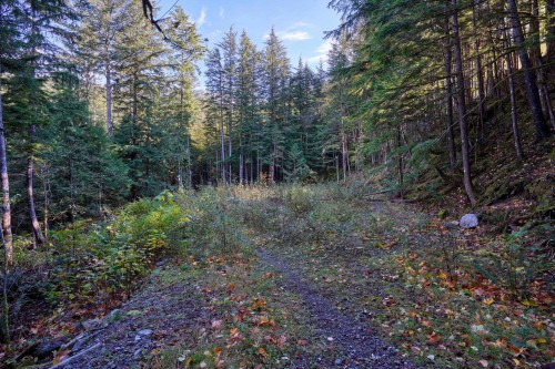 1017 Copper Drive, Britannia Beach, BC 