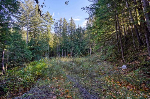 1017 Copper Drive, Britannia Beach, BC 