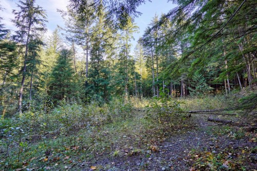 1017 Copper Drive, Britannia Beach, BC 
