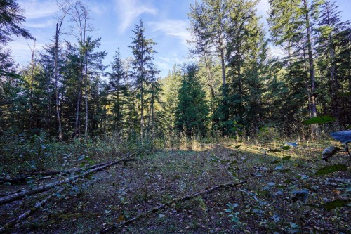 1017 Copper Drive, Britannia Beach, BC 