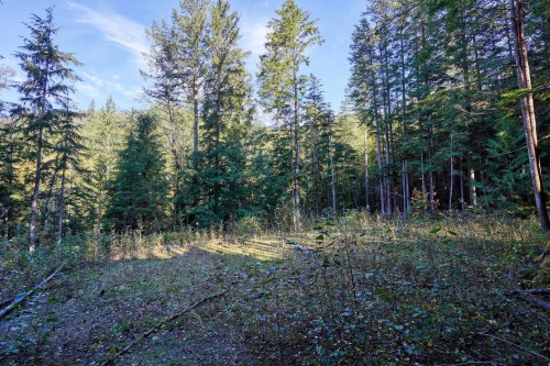 1017 Copper Drive, Britannia Beach, BC 