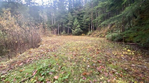 1017 Copper Drive, Britannia Beach, BC 