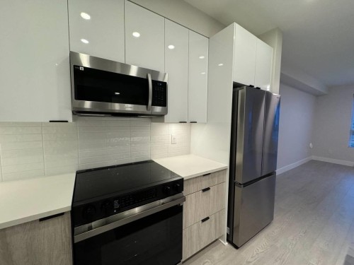 220-11655 Fraser St, Maple Ridge, BC 