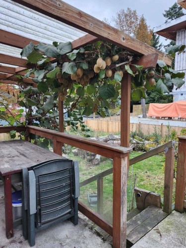 21796 Howison Avenue, Maple Ridge, BC 