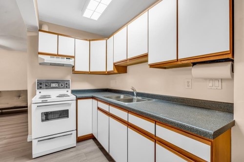 Ground Level-1289 Lincoln Drive, Port Coquitlam, BC 