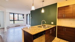 208-814 Royal Avenue  New Westminster, BC V3M 1J9