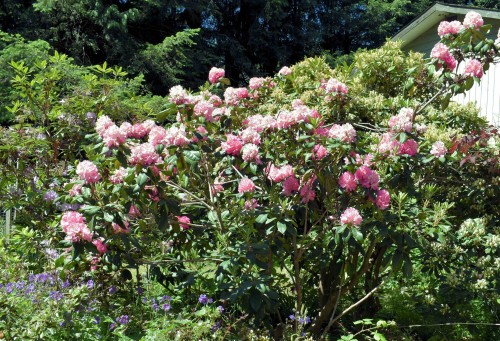 2240 Oldershaw Road, Roberts Creek, BC 